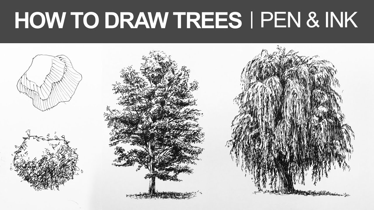 1280x720 How To Draw Trees With Pen And Ink - Spruce Tree Sketch