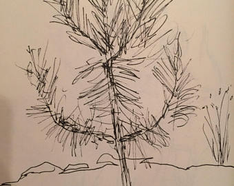 340x270 Spruce Tree Sketch Etsy - Spruce Tree Sketch