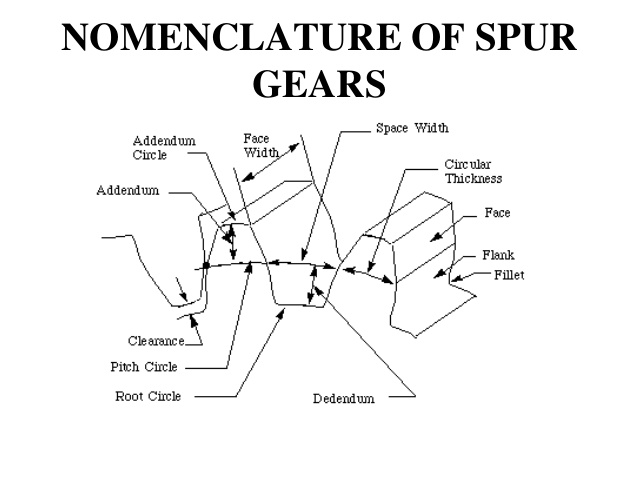 638x479 Gears Amp Power Transmission - Spur Gear Sketch