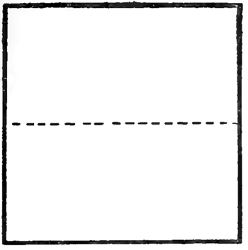 350x353 How To Draw Elephants With Step By Step Drawing Tutorial - Square Sketch