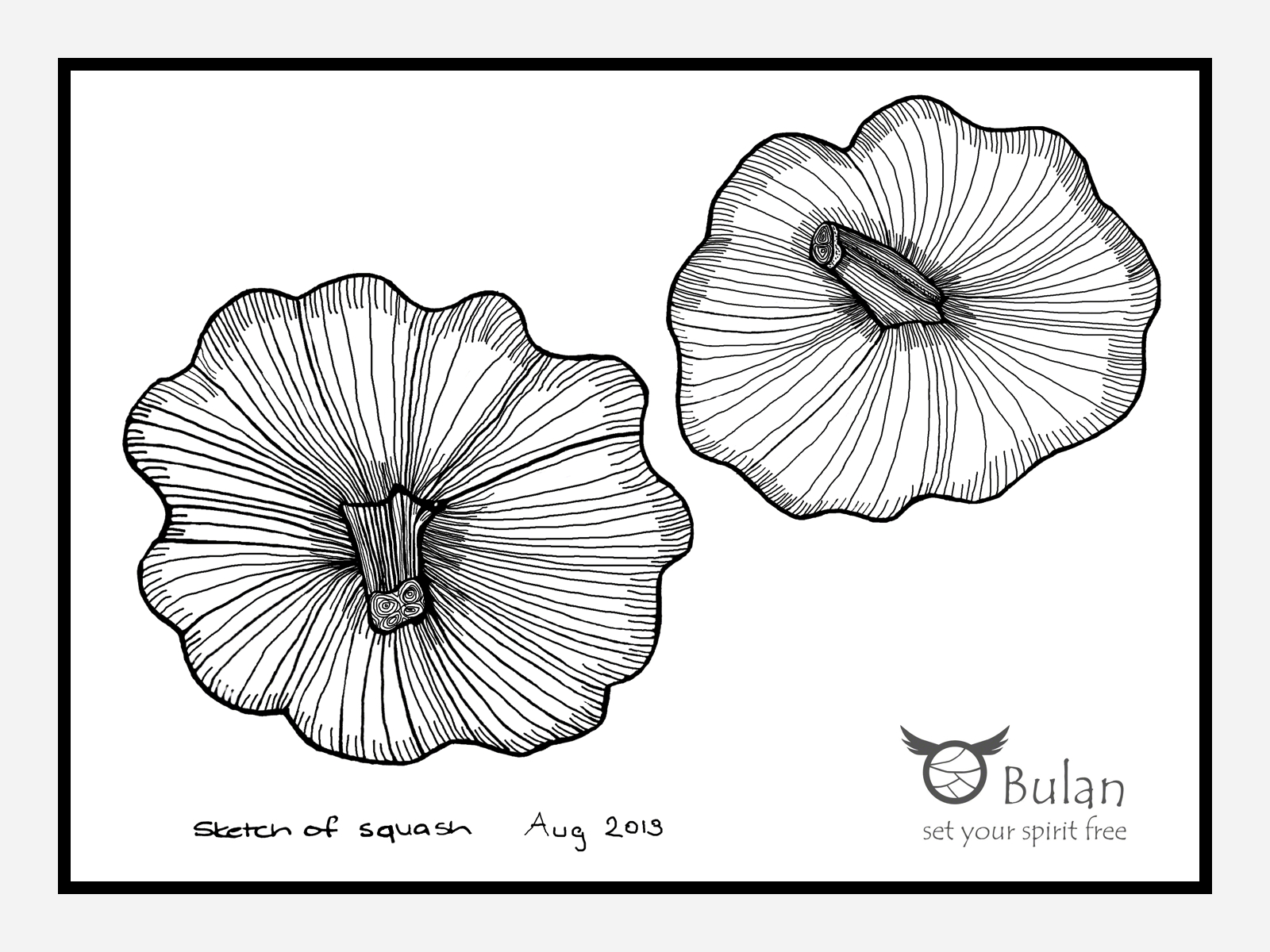 1600x1200 Sketch Of The Day No 129 Squash - Squash Sketch