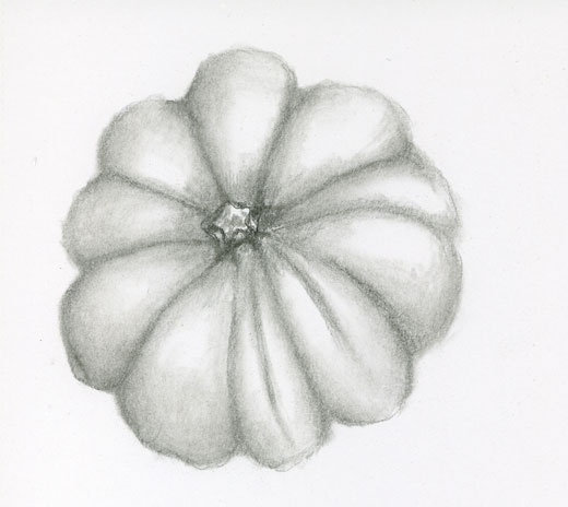 520x464 Sbwatercolors And Sketching My First Acorn Squash - Squash Sketch