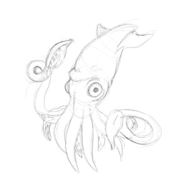 600x600 Squid - Squid Sketch