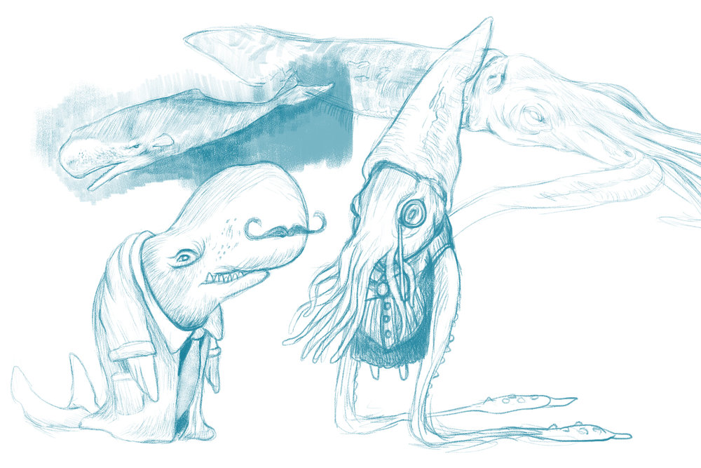 1000x667 Whale And Squid, Sketch Development Portfolio Ciro Correia - Squid Sketch