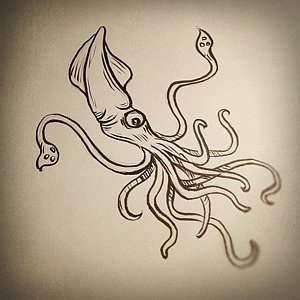 300x300 Squid - Squid Sketch