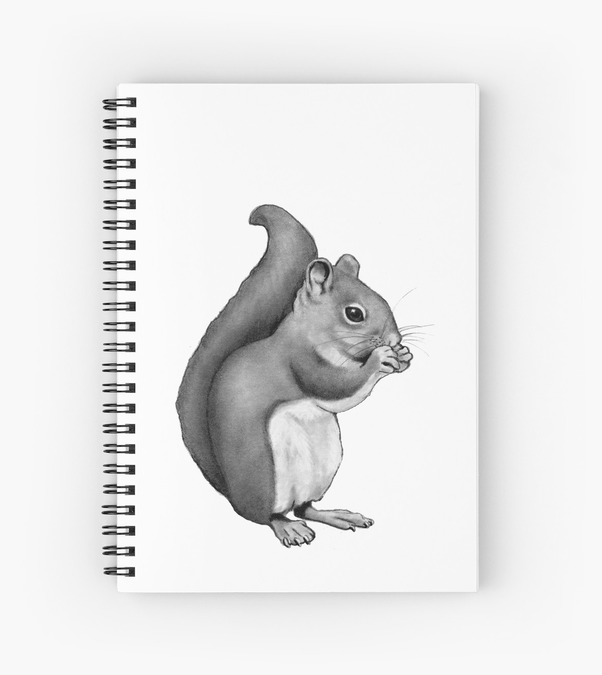 1171x1313 Squirrel Eating Pencil Drawing Of Cute Squirrel Spiral Notebooks - Squirrel Pencil Sketch