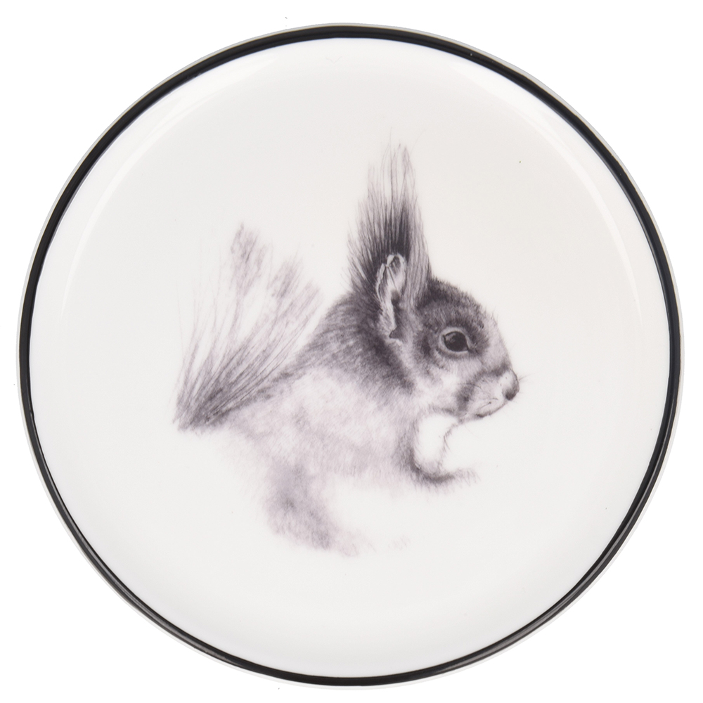 1000x1000 Susan Rose China Pencil Drawing On Set Of 4 Coasters - Squirrel Pencil Sketch