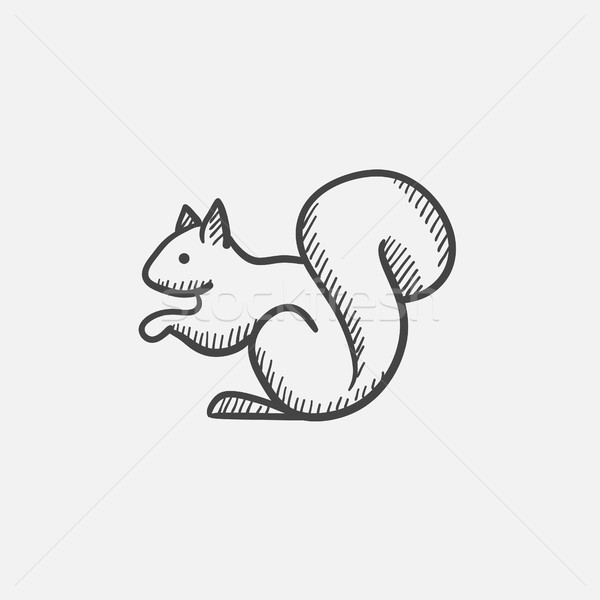 600x600 Squirrel Sketch Icon. Vector Illustration Andrei Krauchuk - Squirrel Sketch