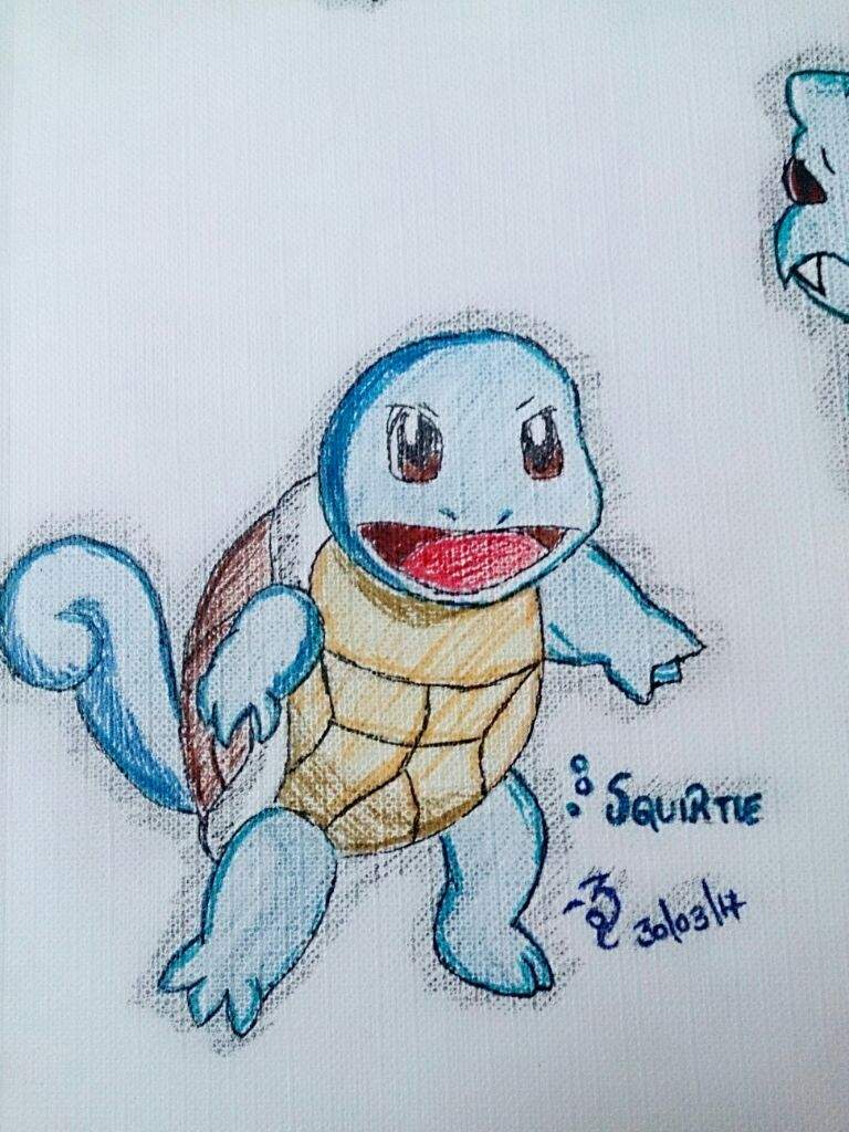 768x1024 Pokemon Squirtle Sketch (Full Colour) Amino - Squirtle Sketch