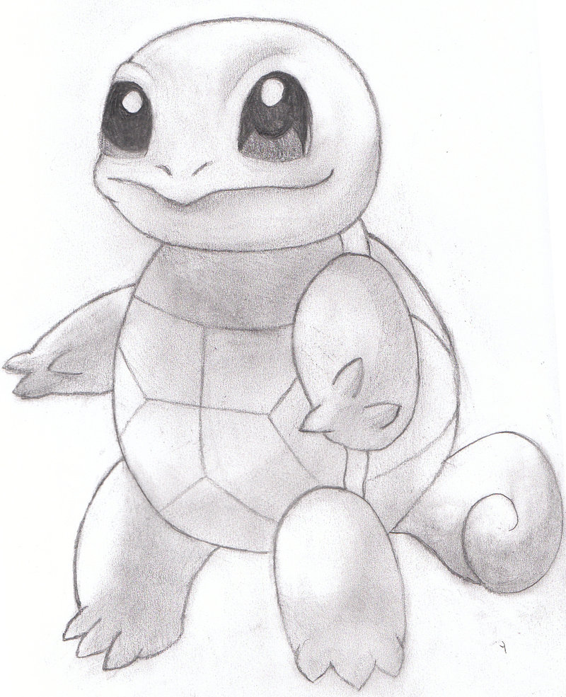 800x985 Squirtle Sketches Related Keywords Amp Suggestions - Squirtle Sketch