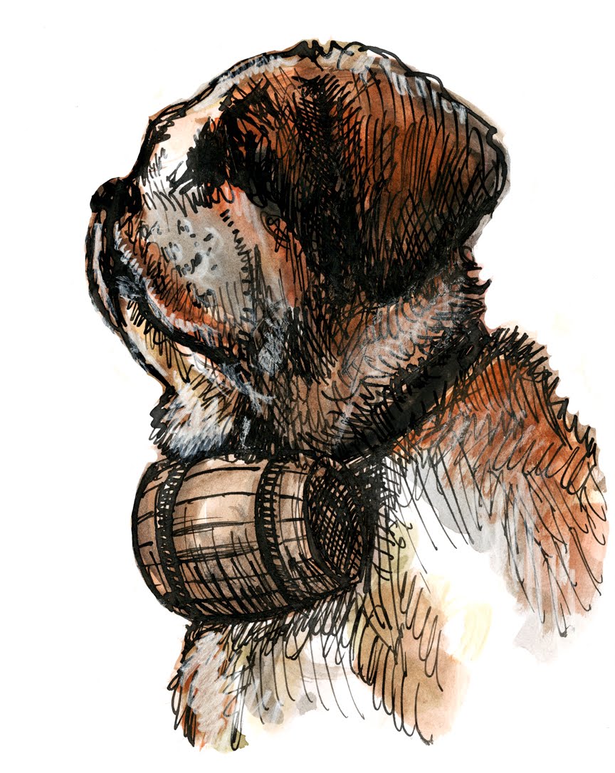 864x1086 Landis Blair Illustration St. Bernard Sketches - St Bernard Sketch