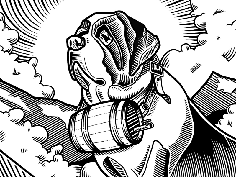 800x600 St. Bernard Illustration By Paul Burton - St Bernard Sketch