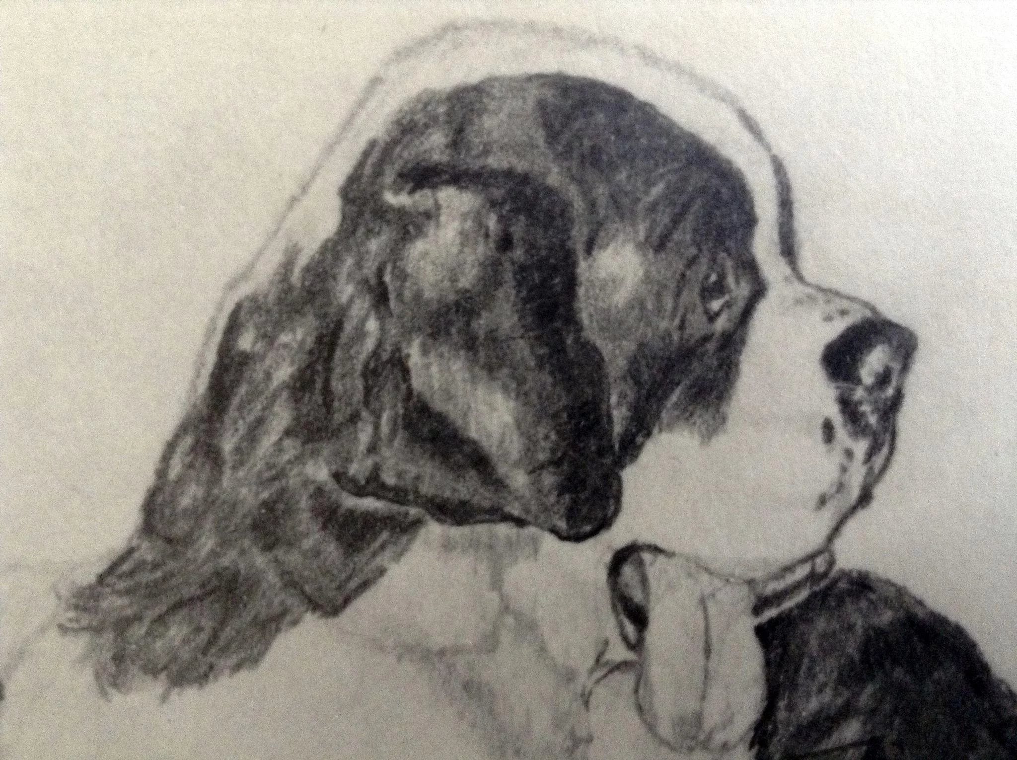 2048x1530 Vintage St. Bernard Dogs Pencil Sketch Works On Paper Signed By - St Bernard Sketch