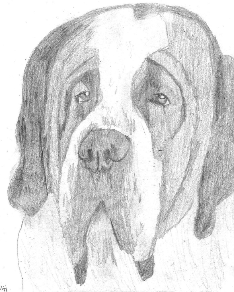 822x1024 Stbernard Saint Bernard Pencil Sketch. See More - St Bernard Sketch