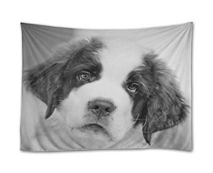 425x346 Shadenov Wall Hanging Tapestry - St Bernard Sketch