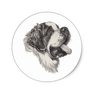 307x307 Beautiful Dog Sketch Gifts On Zazzle - St Bernard Sketch