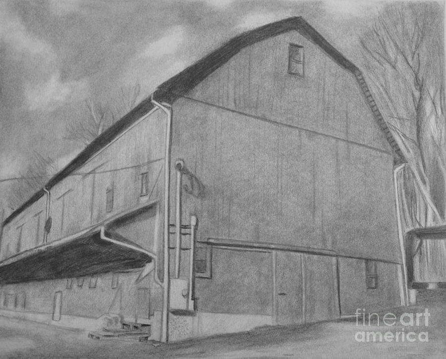 900x725 Stable Sketch In Graphite Drawing By Megan Finsel - Stable Sketch