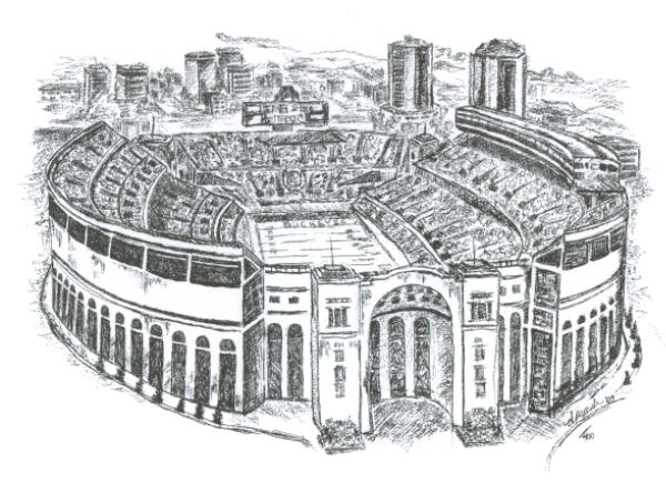 600x435 The Official Ohio Stadium Cake Sketches - Stadium Sketch