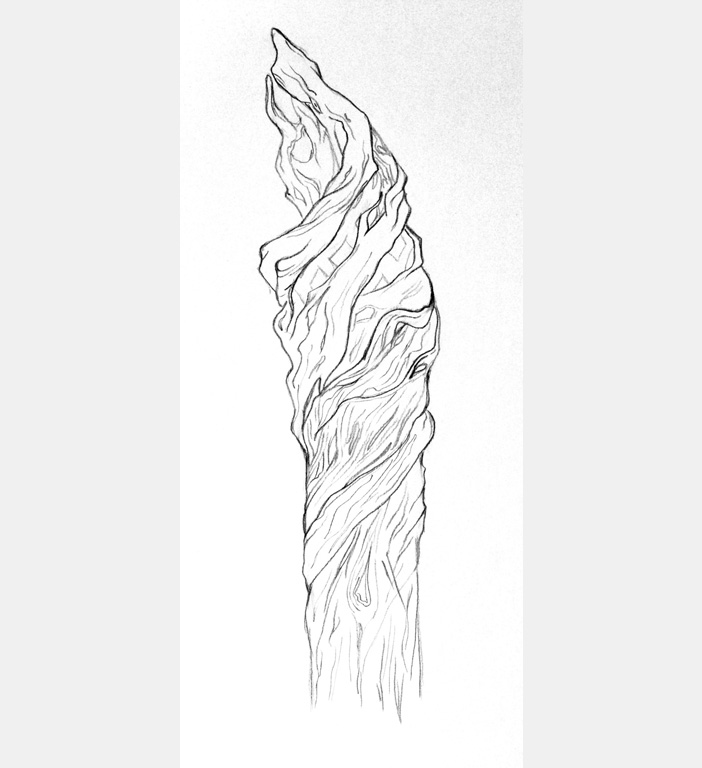 702x768 Sketches - Staff Sketch