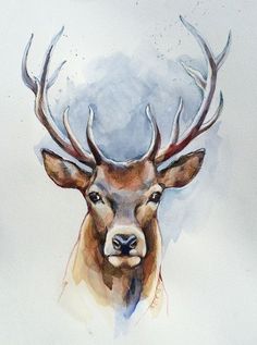 236x317 Deer Head By On @ Tats - Stag Head Sketch