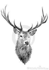 188x268 Drawn Dear Face - Stag Head Sketch
