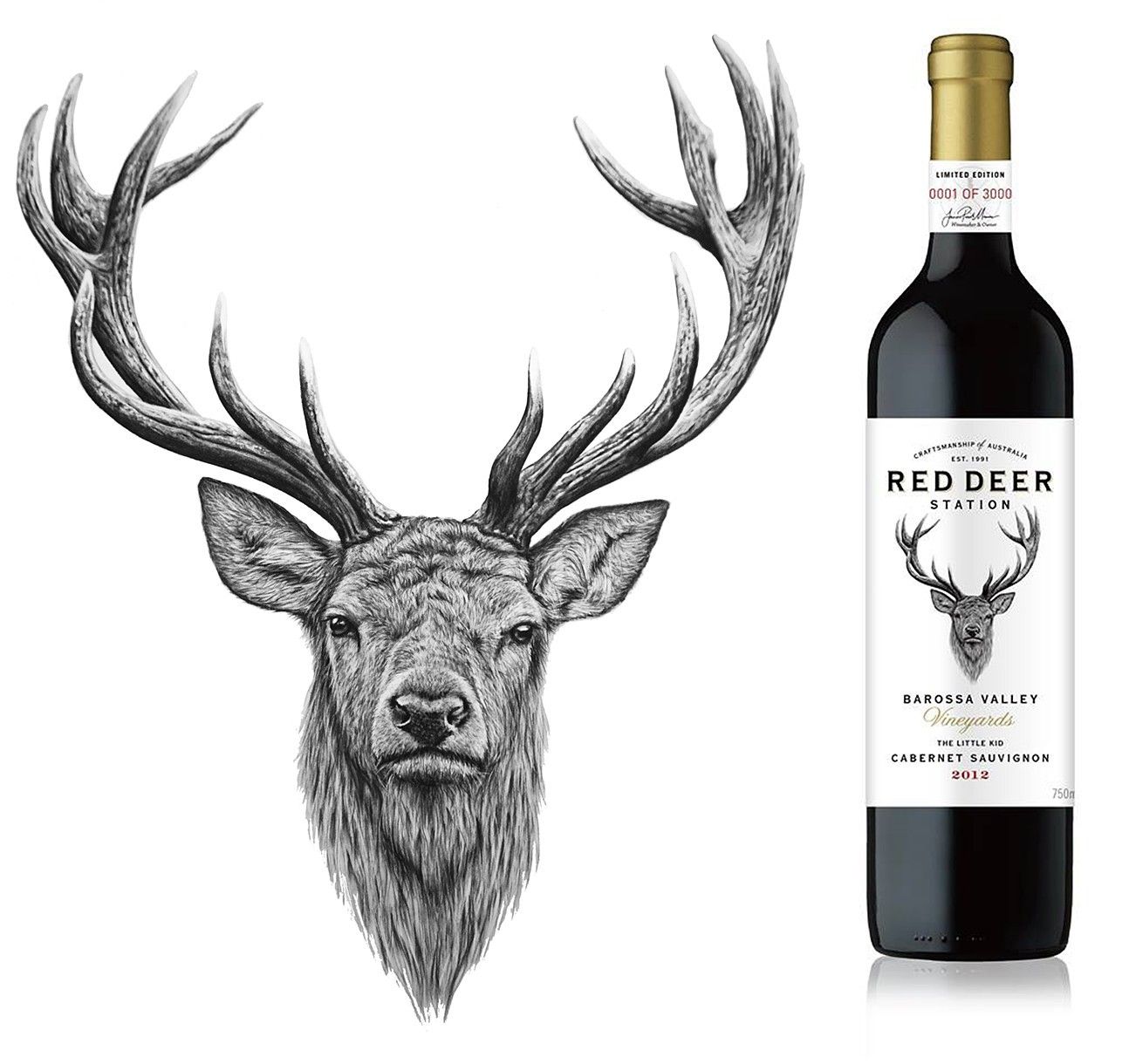 1286x1220 Image Result For Stag Head Drawing Bailey Ped Pad - Stag Head Sketch