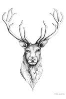 133x200 The 33 Best Stag Head Tattoo Ideas Images Deer - Stag Head Sketch