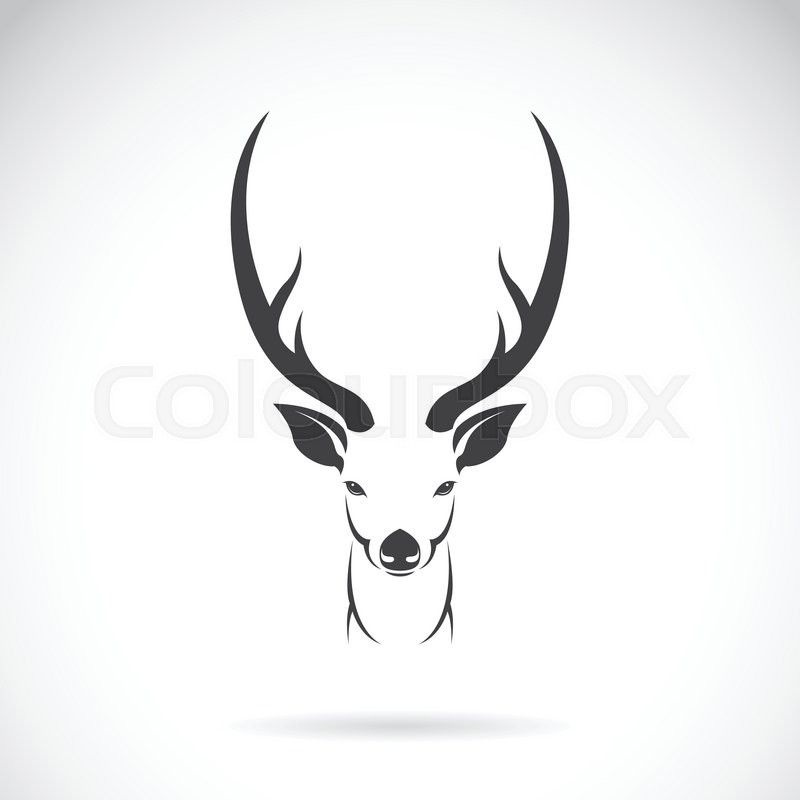 800x800 Vector Image Of An Deer Head Design On White Background, Vector - Stag Head Sketch