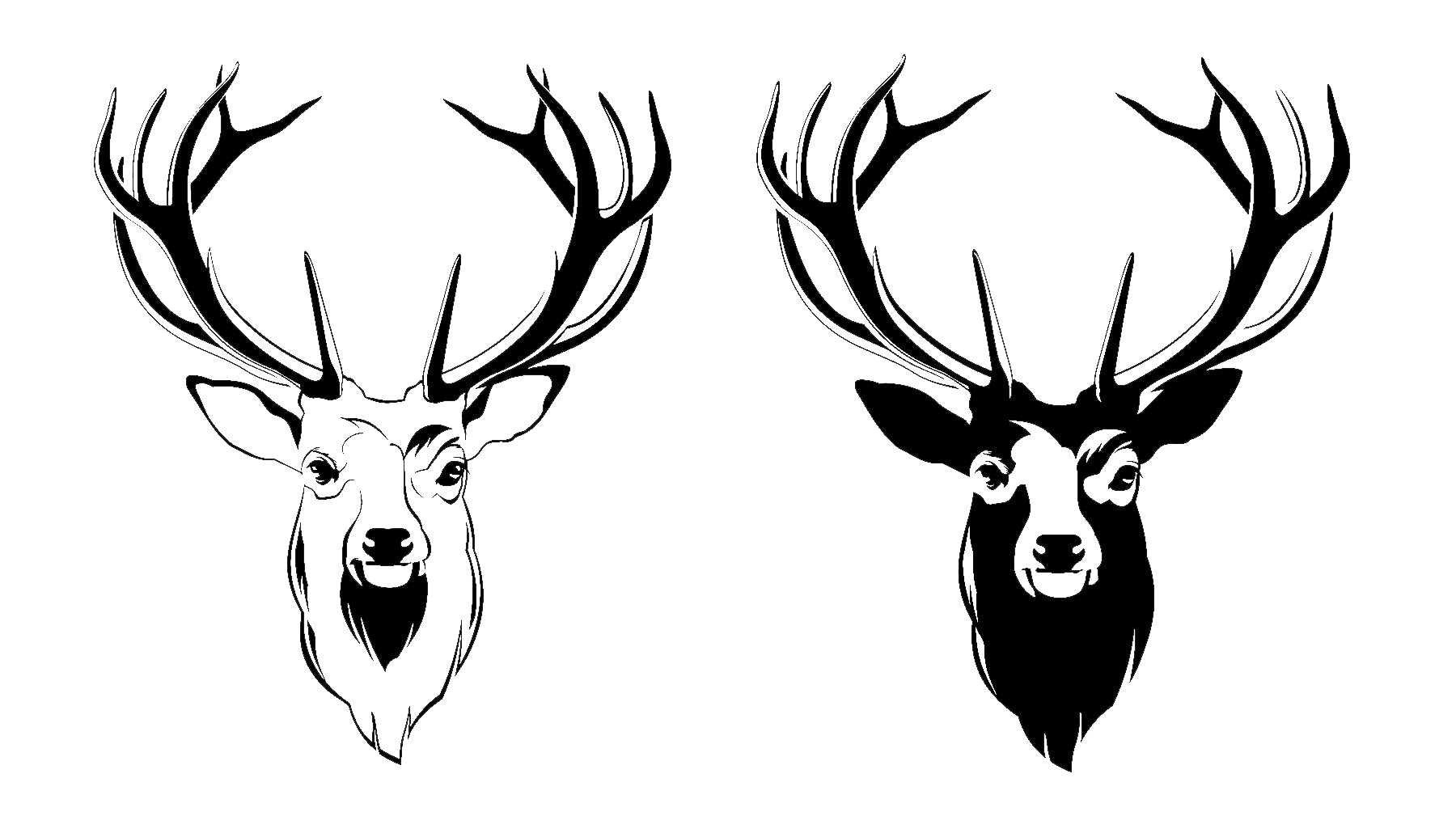 1800x1030 Collection Of Free Trophy Drawing Deer Head. Download On Ubisafe - Stag Head Sketch
