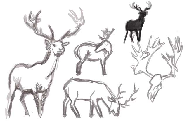 640x436 Sketchaton Stag Sketches - Stag Sketch