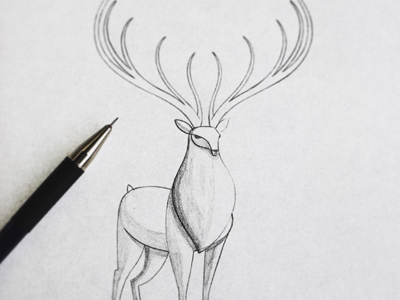 400x300 Stag Sketch By Deanna Halsall - Stag Sketch