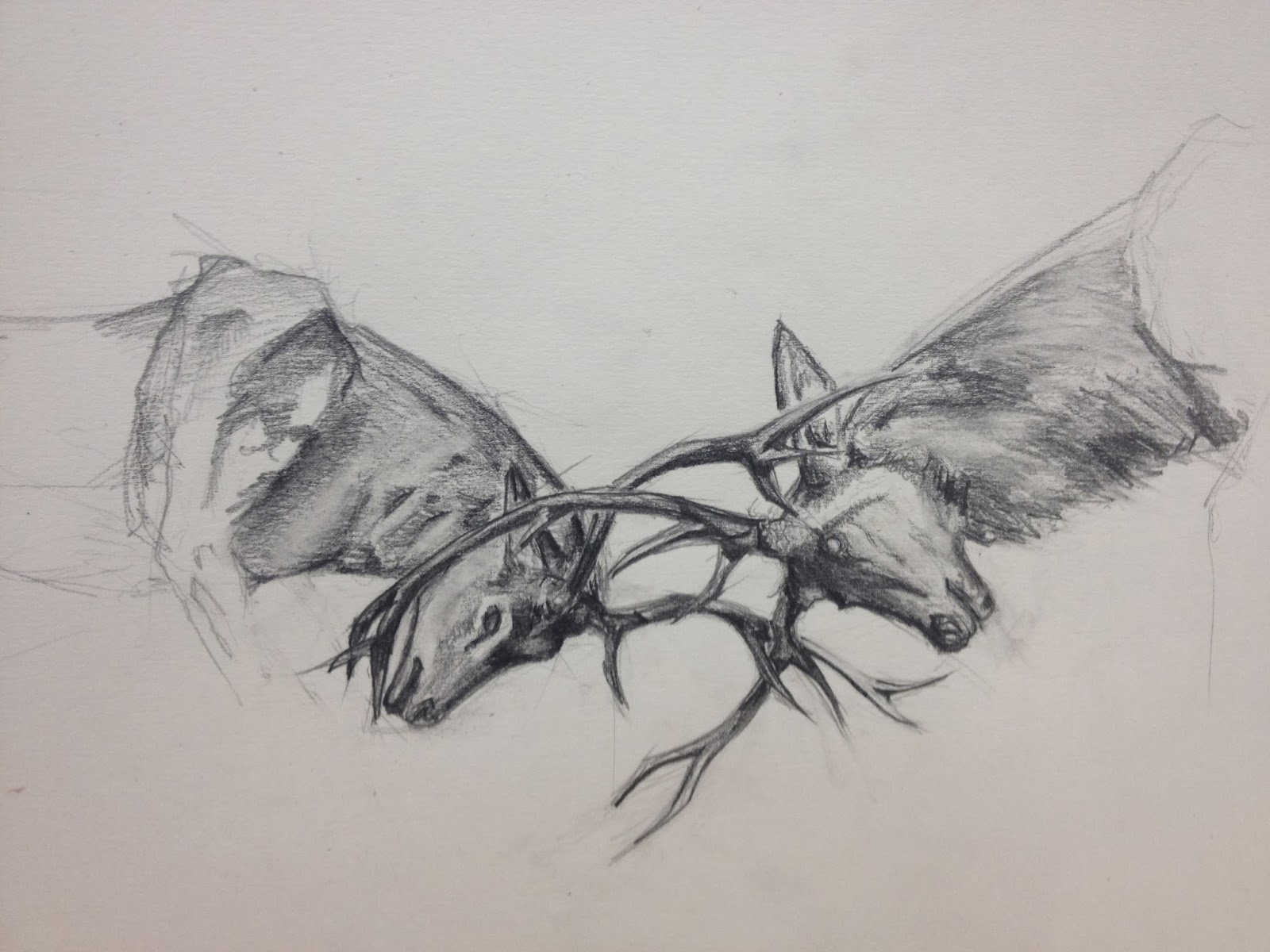 1600x1200 Stag Sketch Creative Research - Stag Sketch