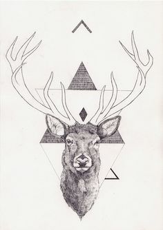 236x334 Stag Sketch Inked Art, Drawings And Illustration - Stag Sketch