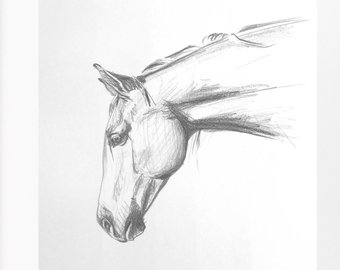 340x270 Horse Sketch Etsy - Stallion Sketch
