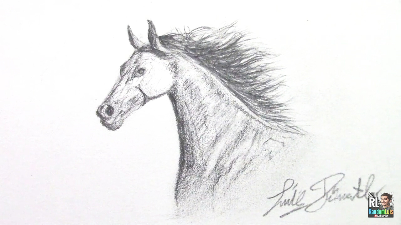 1280x720 Majestic Stallion Sketch! - Stallion Sketch