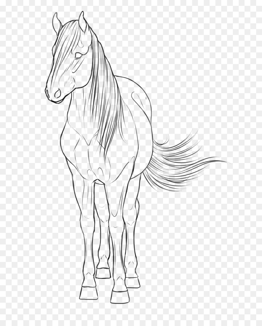900x1120 Mane Pony Mustang Stallion Sketch - Stallion Sketch