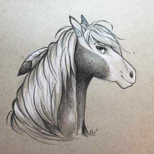 Stallion Sketch At Explore Collection Of Stallion