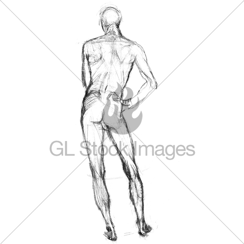 500x500 Man Back Sketch Gl Stock Images - Standing Man Sketch