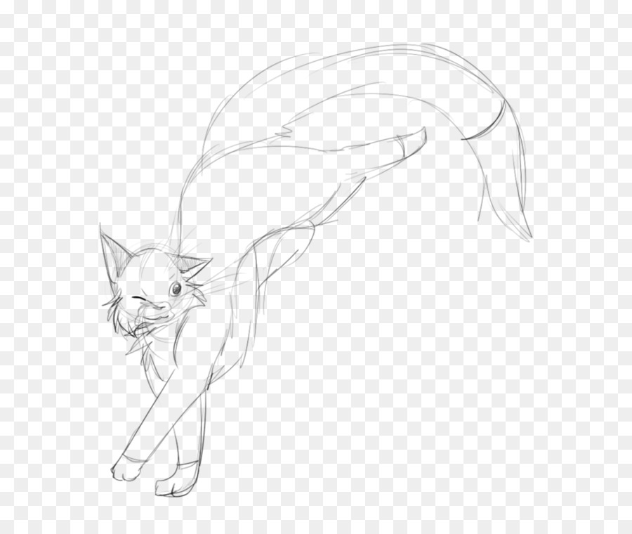 900x760 Drawing Cat Line Art Cartoon Sketch - Star Sketch Images