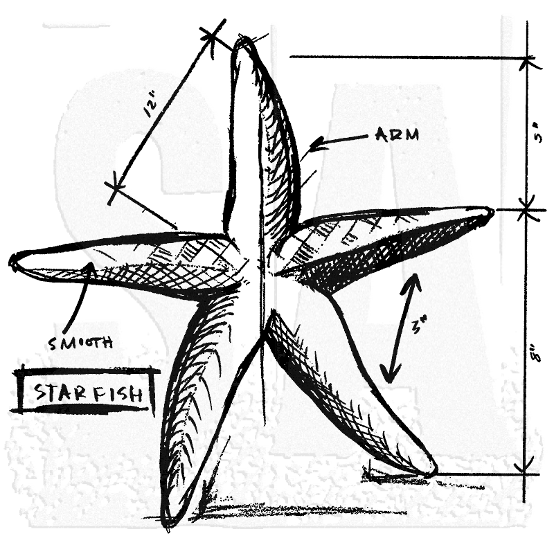 800x800 Tim Holtz Wood Mounted Stamp - Starfish Sketch