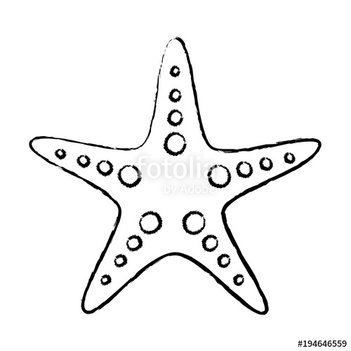 500x500 Starfish Or Sea Star Icon Image Vector Illustration Design Black - Starfish Sketch