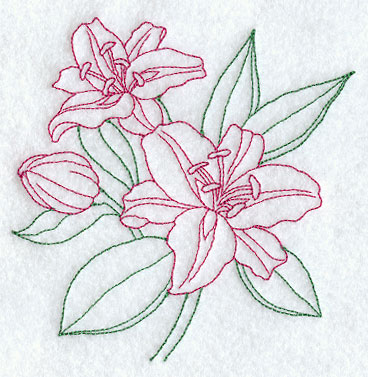 368x377 Machine Embroidery Designs - Stargazer Lily Sketch