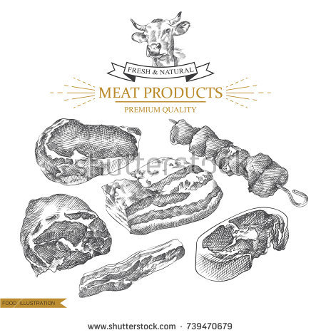450x470 Vector Meat Steak Sketch Drawing Designer Template. Food Hand - Steak Sketch