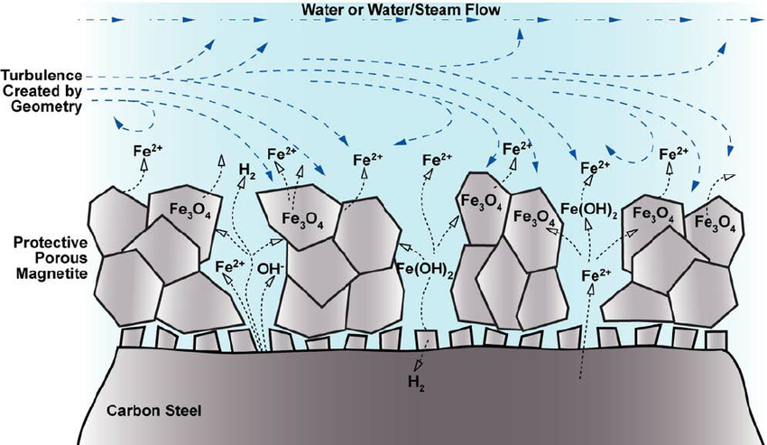 850x493 Sketch Of The Fac Mechanism In Carbon Steel [4] Download - Steel Sketch