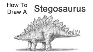 320x180 How To Draw A Stegosaurus - Stegosaurus Sketch