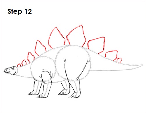 500x386 How To Draw A Stegosaurus - Stegosaurus Sketch