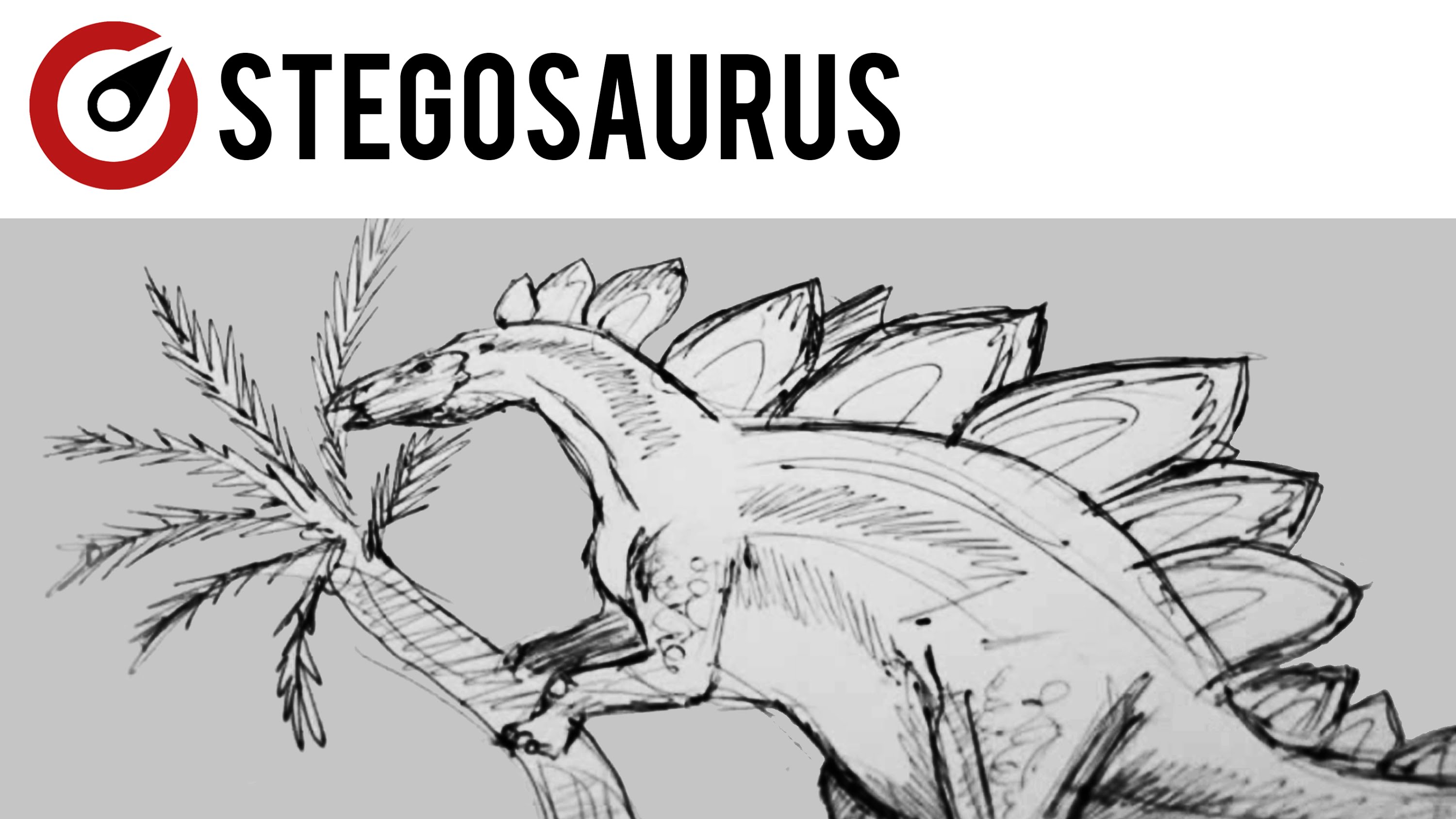 3000x1688 Stegosaurus Sketch - Stegosaurus Sketch