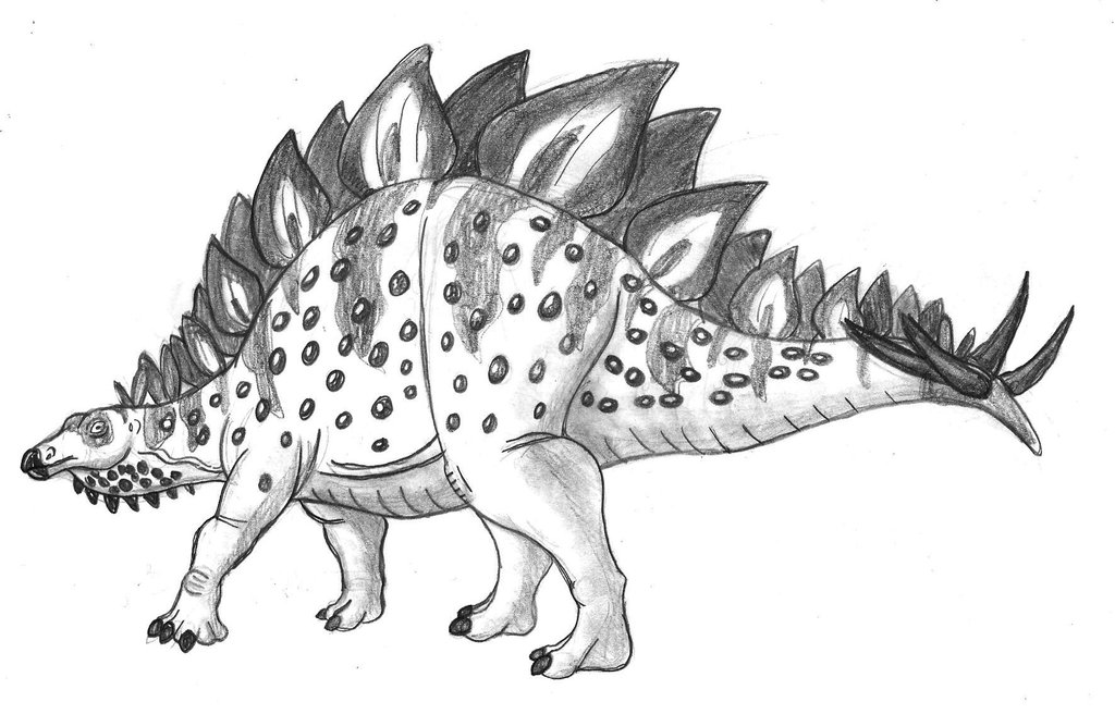 1024x656 Stegosaurus Sketch By Tyrannoninja - Stegosaurus Sketch