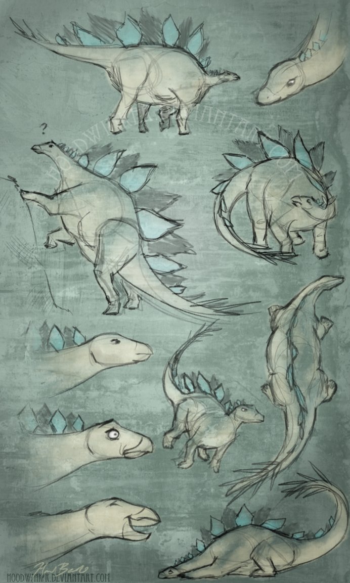 692x1153 Stegosaurus Sketch Dump By Hoodwinker - Stegosaurus Sketch
