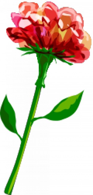 300x626 Red Flower With Green Stem Sketch Vector Free Download - Stem Sketch